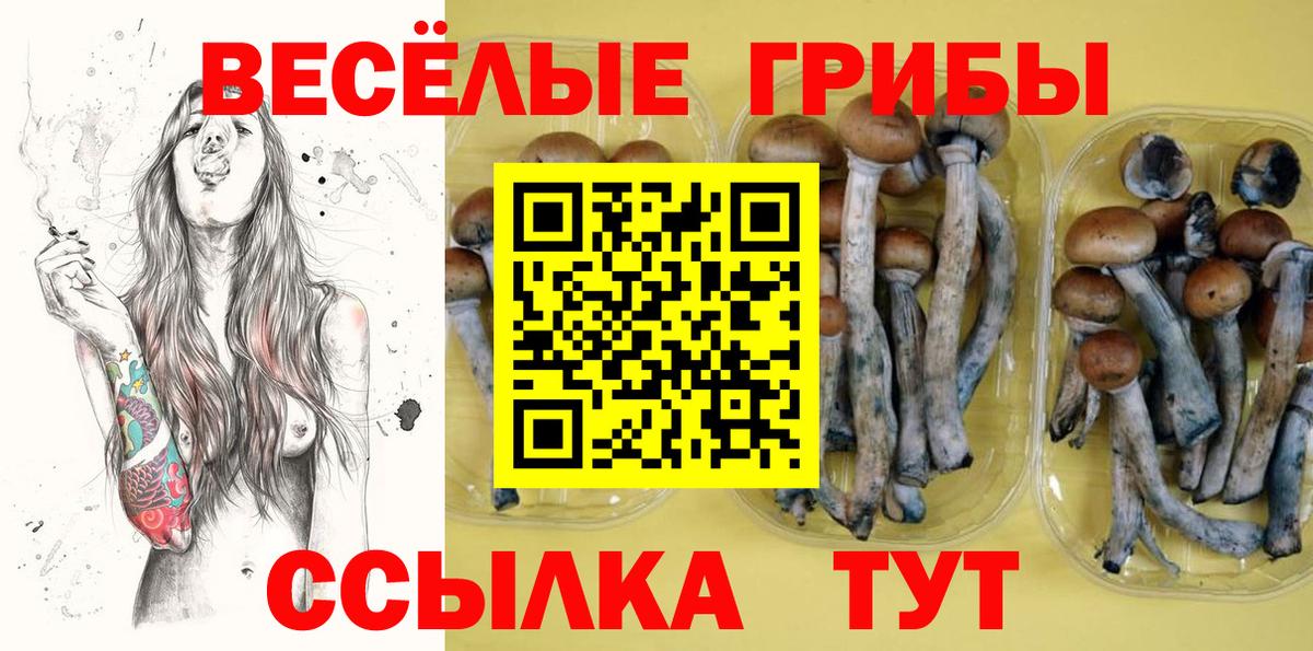 Галлюциногенные грибы Cubensis Советск