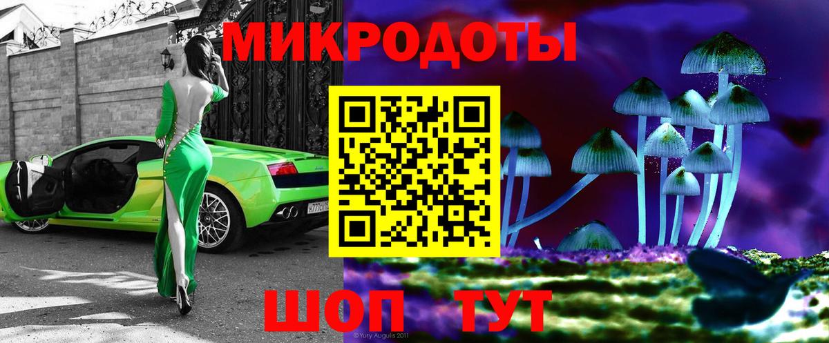 купить   Псилоцибиновые грибы GOLDEN TEACHER  Вход с VPN  Советск  Галлюциногенные грибы прущие грибы 